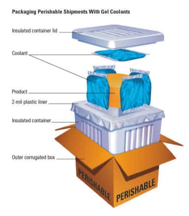 packaging-perishable-goods-infographic-display.jpeg